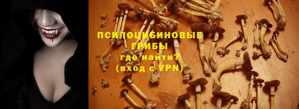 стафф Зеленокумск