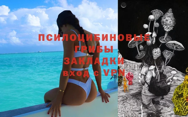 apvp Зеленодольск