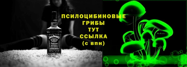 стафф Зеленокумск